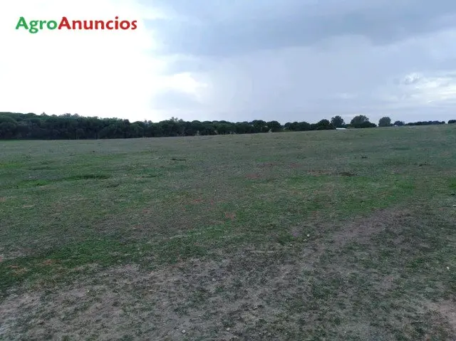 Venta  de Finca de regadío por aspersión en Sevilla