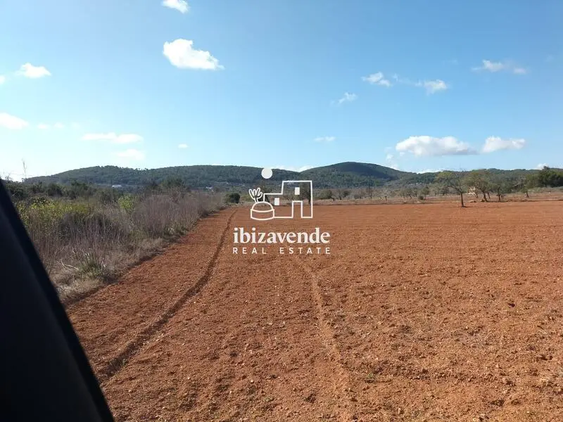 Terreno Agricola con 200 Almendros en Ibiza