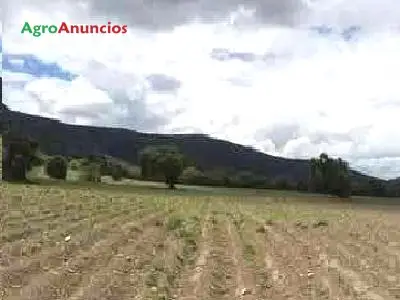 Venta  de Finca de regadío en Ciudad Real