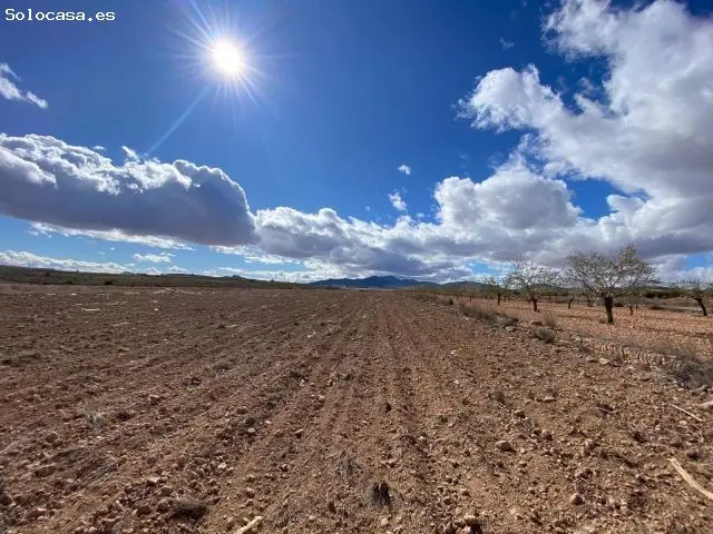 Parcela en Venta Pinoso Lel 10014m2