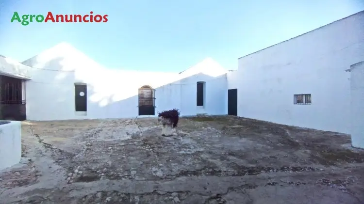 Venta  de Finca con picadero para caballos en Cádiz