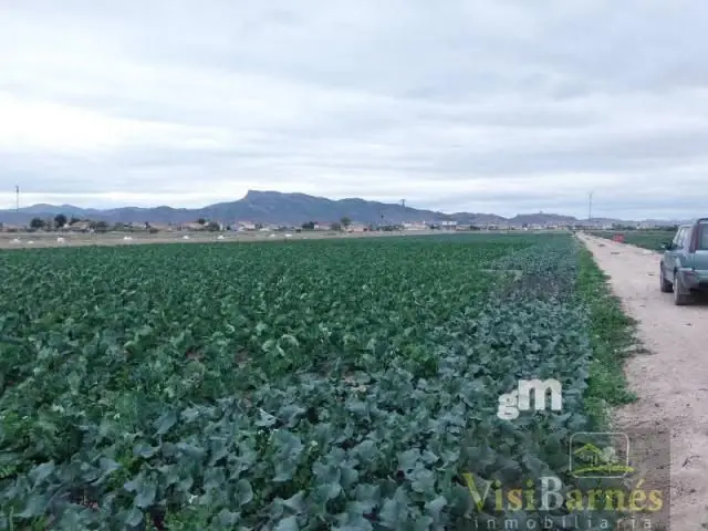 Venta Piso Vistas Cazalla Lorca
