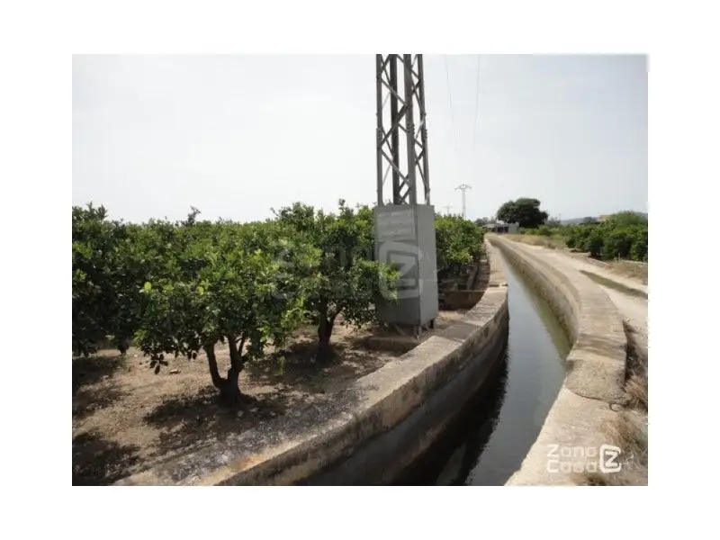 Venta Finca Rustica Algemesi 14478m2 Naranjos