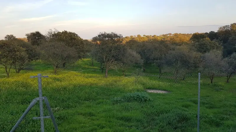 Venta Parcela con Vistas en Campomanes Badajoz