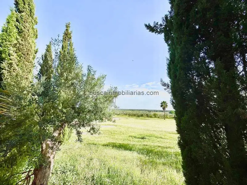 Piso en Venta Aznalcazar Minas Golf Planta Baja