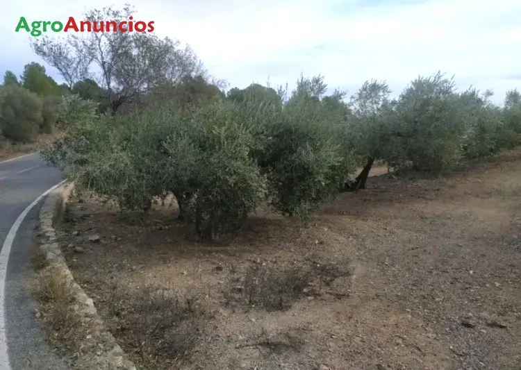 Venta  de Finca rústica en Tarragona