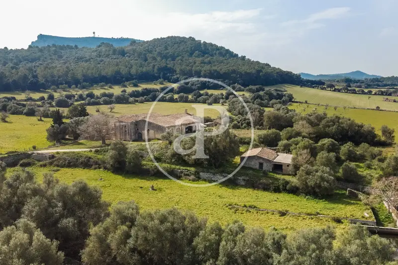 Finca Rustica con Gran Terreno y Casas para Restaurar en Algaida