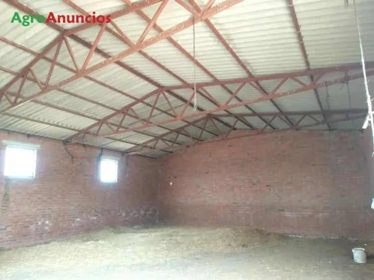 Venta  de Finca con 5 naves en Salamanca