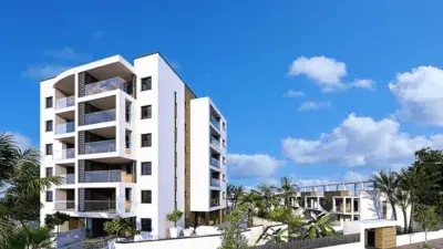 Apartamentos en Venta Mil Palmeras Obra Nueva