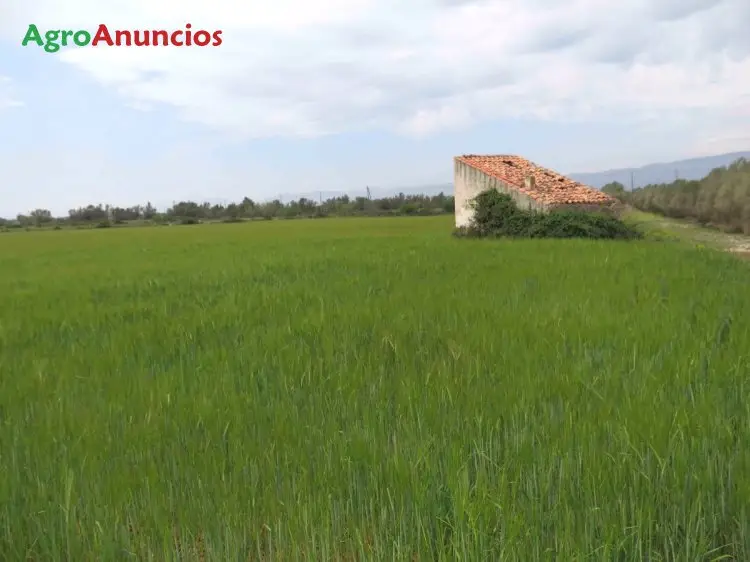 Venta  de Finca de regadío en Tarragona