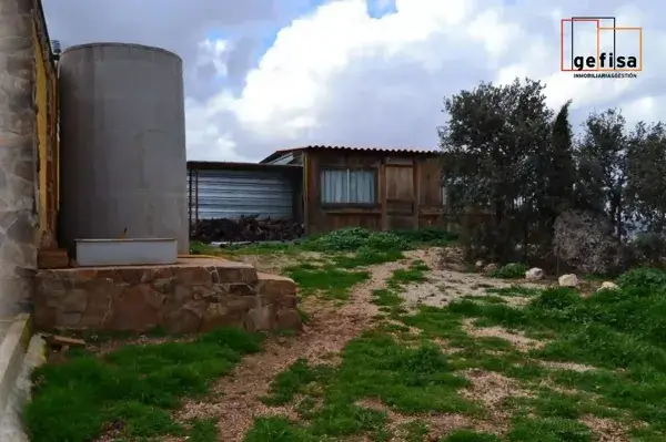 Finca Rustica 50 Hectareas Valdepeñas