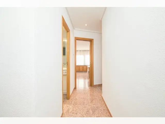 Habitacion Alquiler Elche Estudiantes