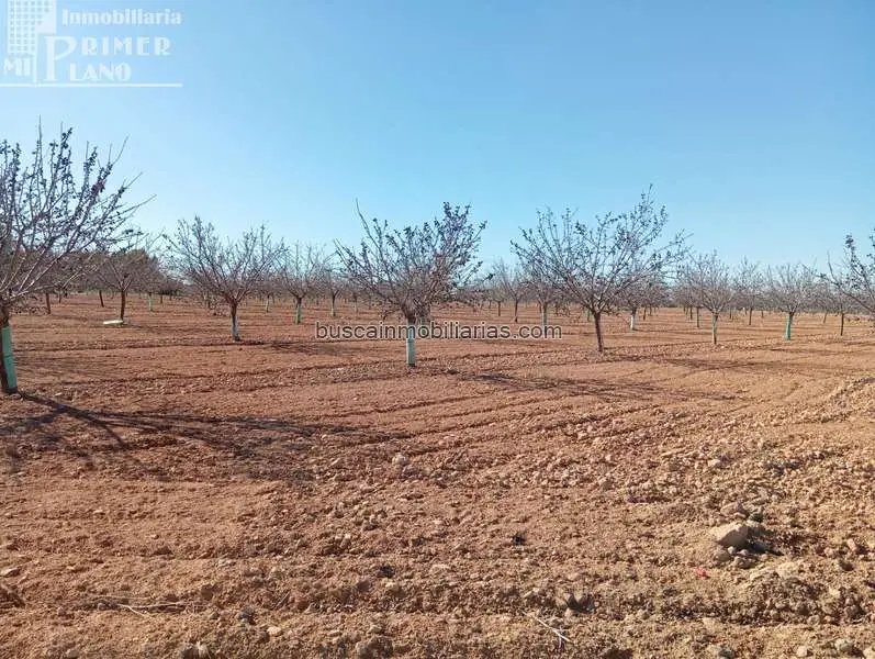 Finca Rustica en Venta Argamasilla de Alba