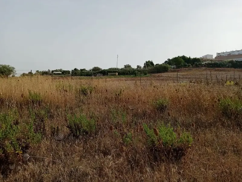 Venta Terreno Rustico Medina Sidonia