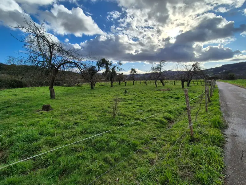 Venta Finca Rustica Grado