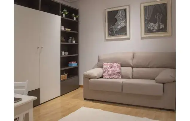 Alquiler Piso 1 Dormitorio Madrid Amueblado