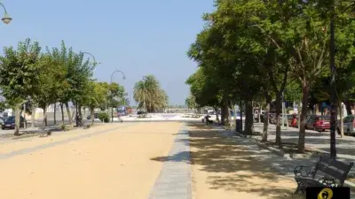 Piso en alquiler en Avenida Calzada de la Duquesa Isabel, cerca de Calle Maria Luisa Terry