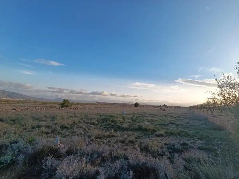 Terreno en Venta Pinoso: Parcela de 18589 m² con Vistas a la Montaña