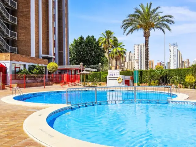 Apartamento 1 Dormitorio Benidorm Playa Levante
