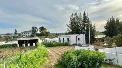 Chalet Rústico con Piscina y Zona de Caballos en Huelva