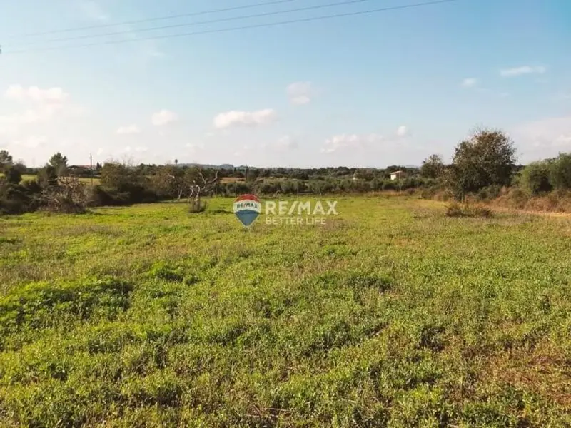 venta Terreno en Llubí, Balears (Illes) (EBX-1863)- Globaliza