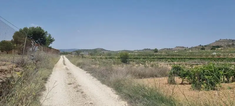 Parcela en Pinoso con Vistas: Construye tu Sueño