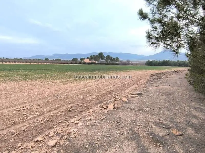 Parcela Rustica en Venta Yecla