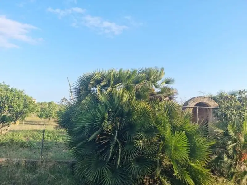 Chalet en San Lorenzo para reformar