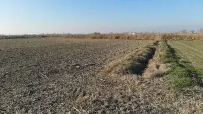 Finca Rustica en Venta Poligono 12 Parcela 165