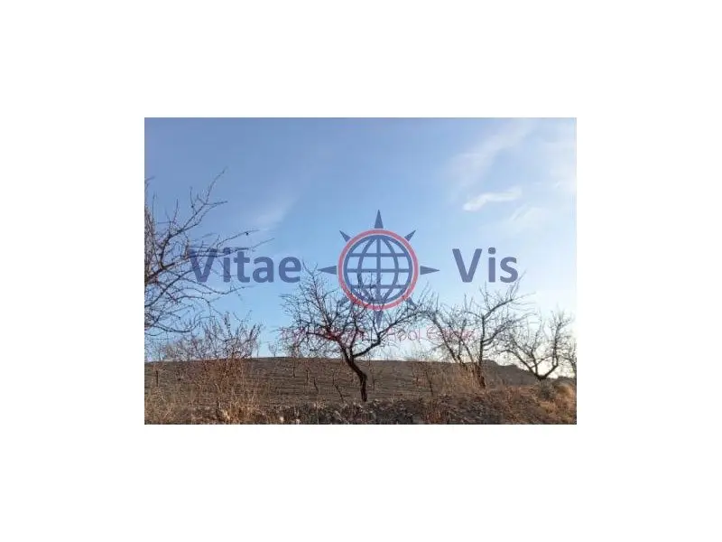 Venta Finca con Garaje en Zarcilla de Ramos