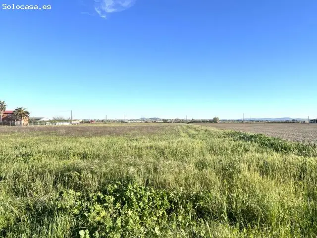 Finca Rustica en Paraje Las Culebras - Don Benito