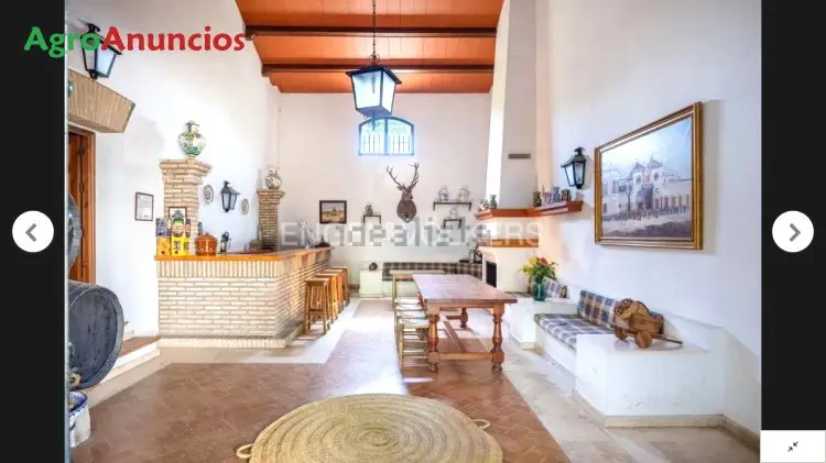 Cortijo Andaluz en Sevilla: Finca de Recreo con 40.000m2