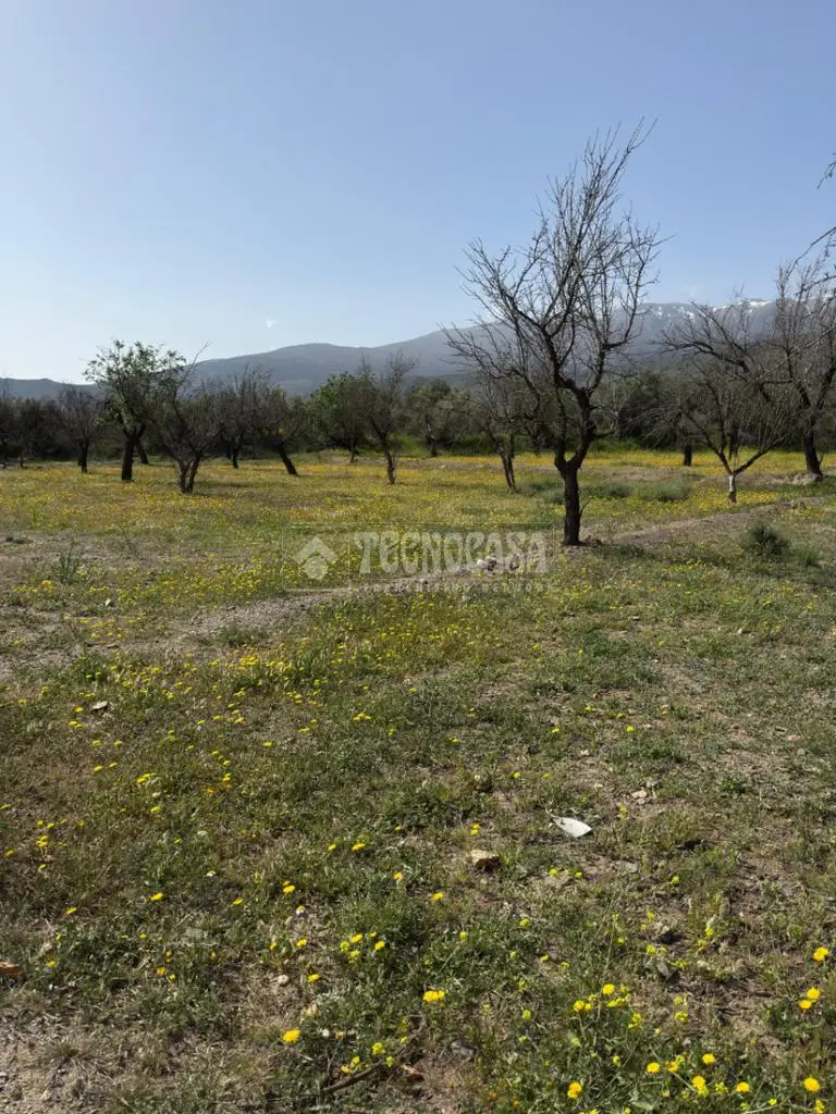 Terreno Rustico en Venta Finana 5541m2