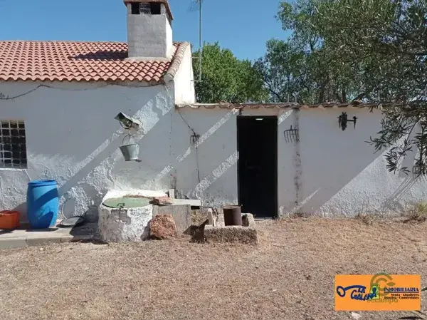 Casa Rural Reformada con Finca de Olivos en Valdepeñas