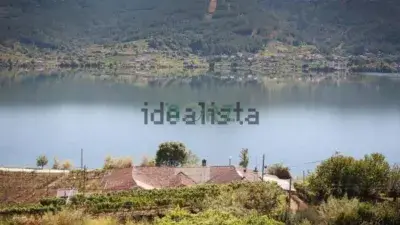 Casa en Venta Ribadavia con Viña 5290m2