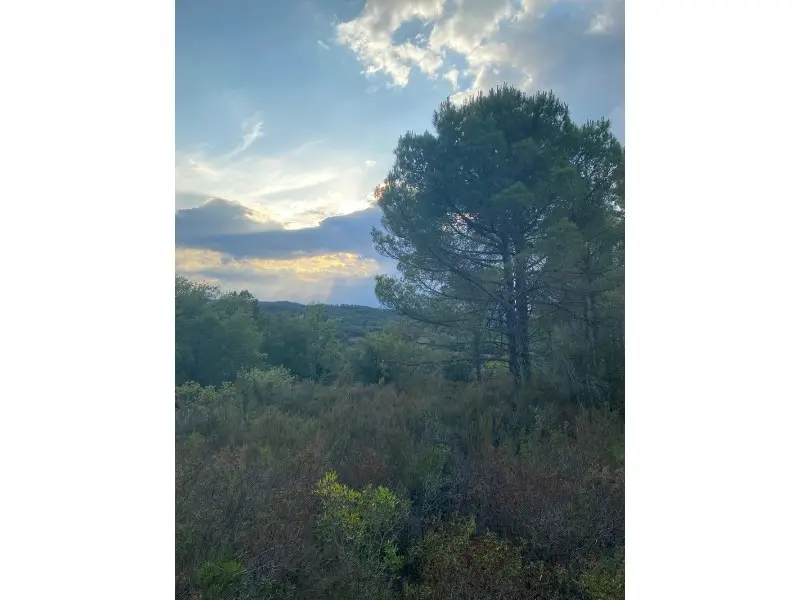 Venta Suelo con vistas La Bisbal dEmporda