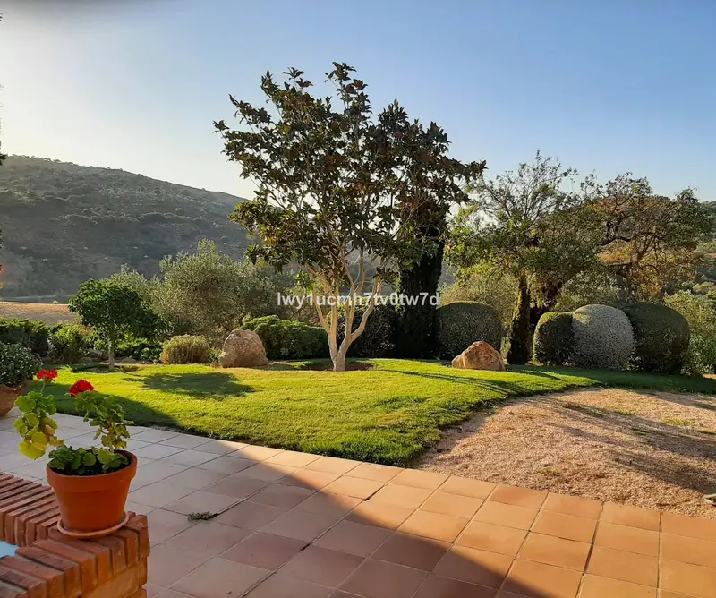 Cortijo de Lujo en Archidona 76 hectareas