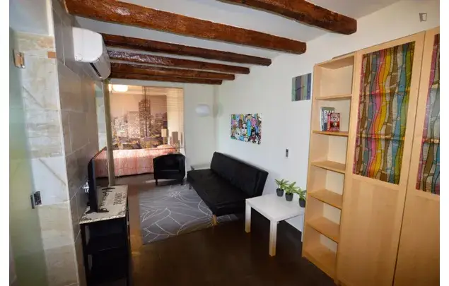 Estudio en Barcelona Centro: Alquiler para Estudiantes