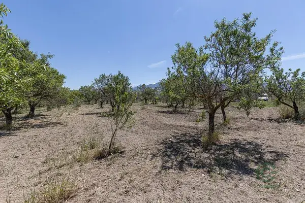Finca Rustica Granada 03ha Arboles Frutales Huerta