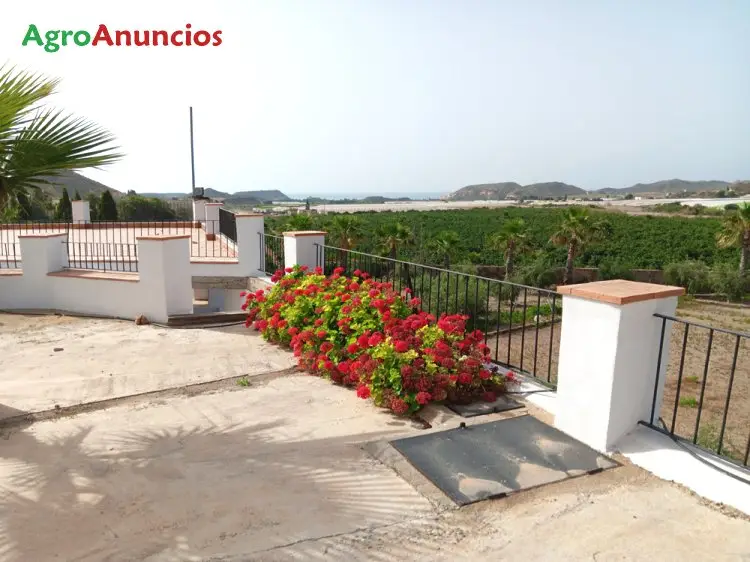 Venta  de Finca con 3 viviendas y cuadra para caballos en Murcia