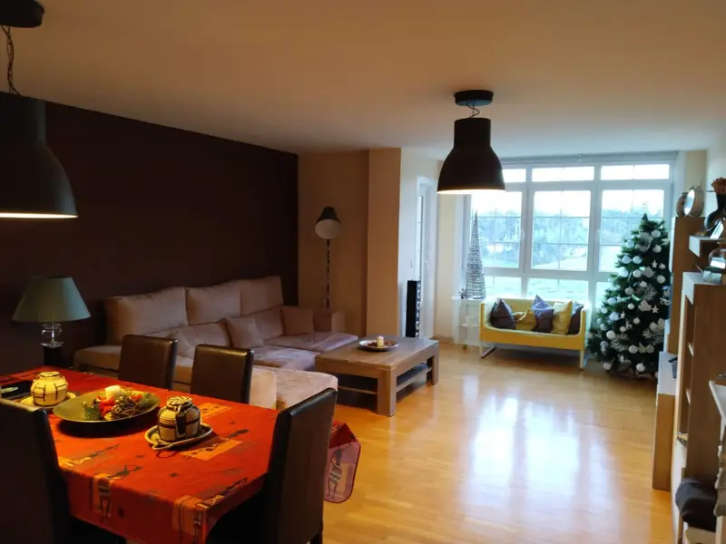 Venta Piso 4 Dormitorios Elviña A Coruña