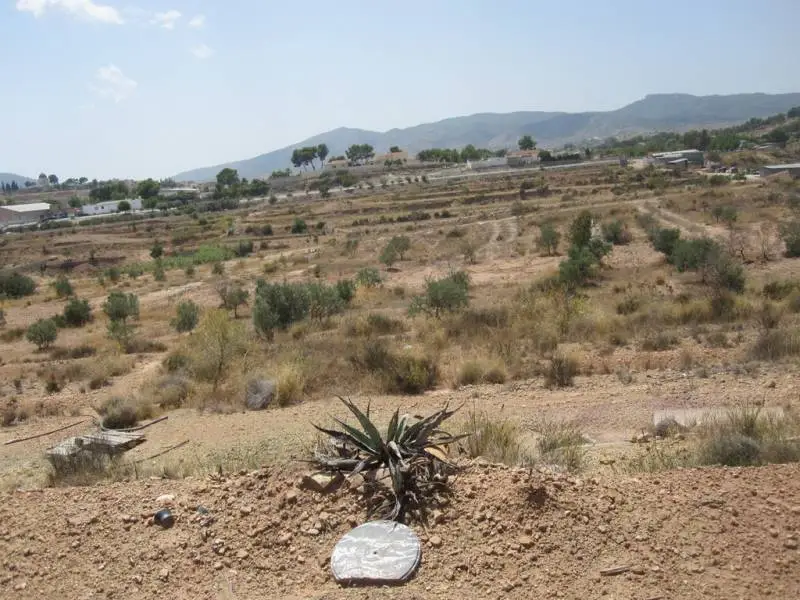 Venta Terreno Rustico Elda 250000m2