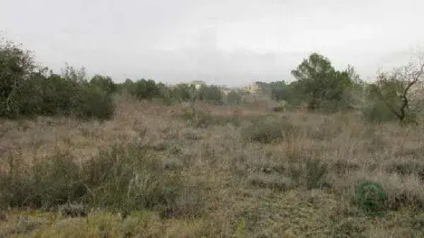 Finca Rustica en Valls Tarragona 11872m2 Cultivo Ocio Inversion