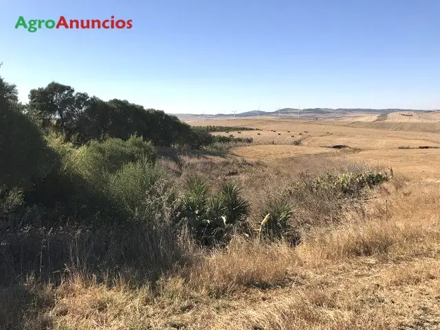 Venta  de Finca rústica en Cádiz