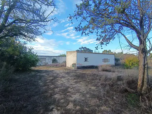Casa de Campo en Puerto Real 29570m2