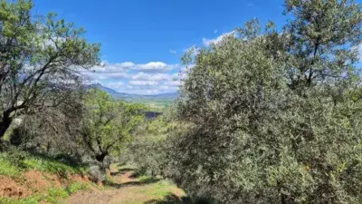 Casa rústica en venta en Guaro