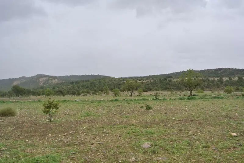Terreno enorme en venta ideal para inversionistas