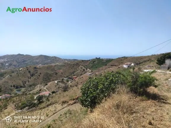 Venta  de Finca con casa y viñedo en Málaga