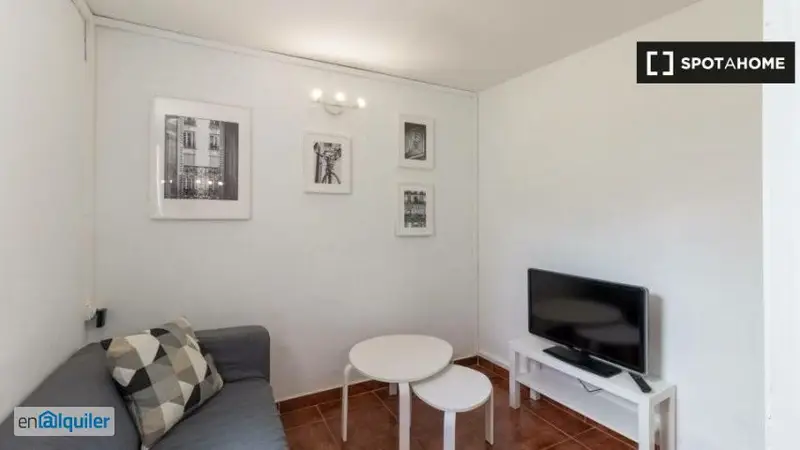 Apartamento 1 Dormitorio en Alquiler El Raval Rambla