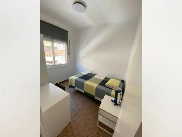 Alquiler Habitacion Castelldefels Piso Compartido Estudiantes